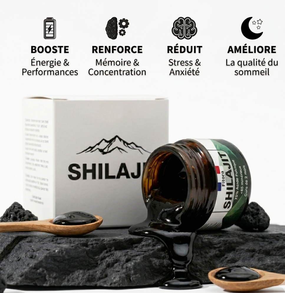Shilajit résine pure