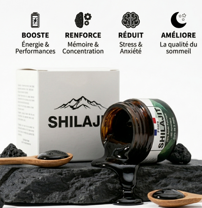 Shilajit résine pure